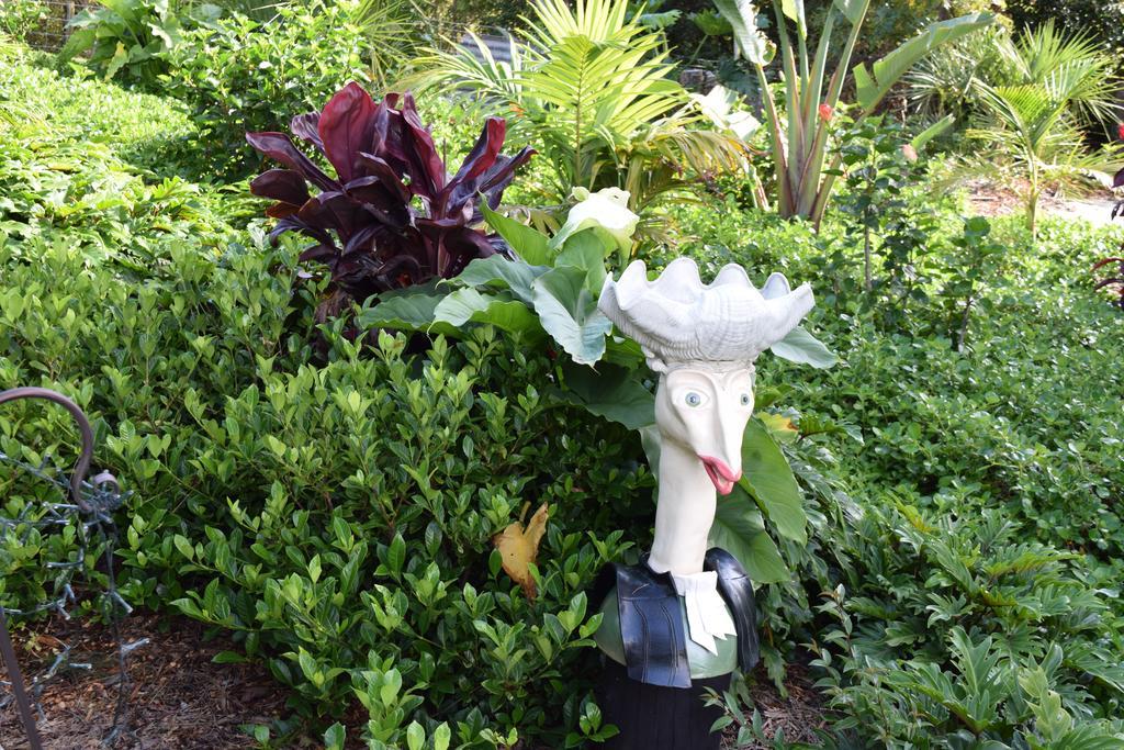 Apartment Secret Garden *