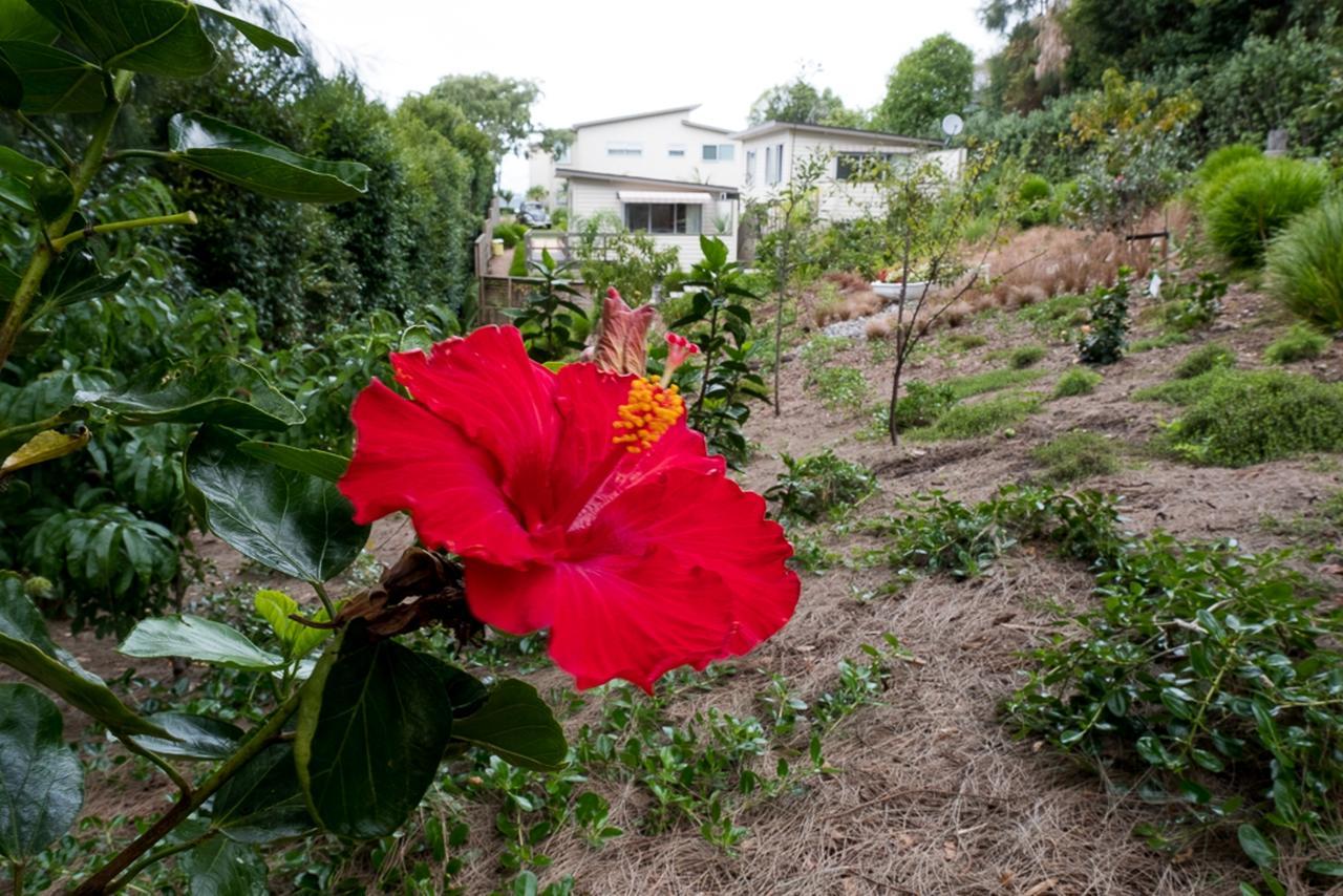 Secret Garden * Oneroa
